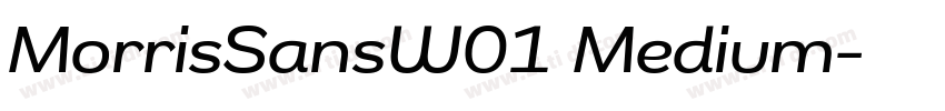 MorrisSansW01 Medium字体转换